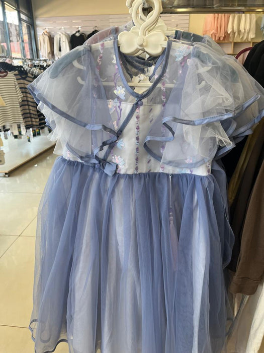 Girl's Purple Netted Dress