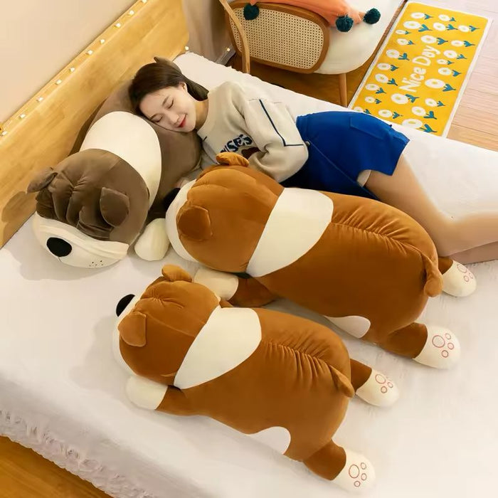 Bull dog Teddy Bear