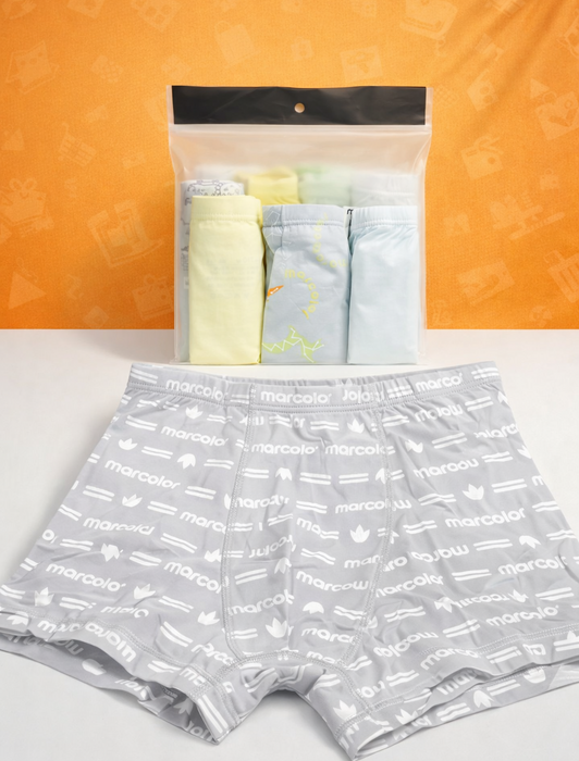 4-Piece Boys Underwear Set