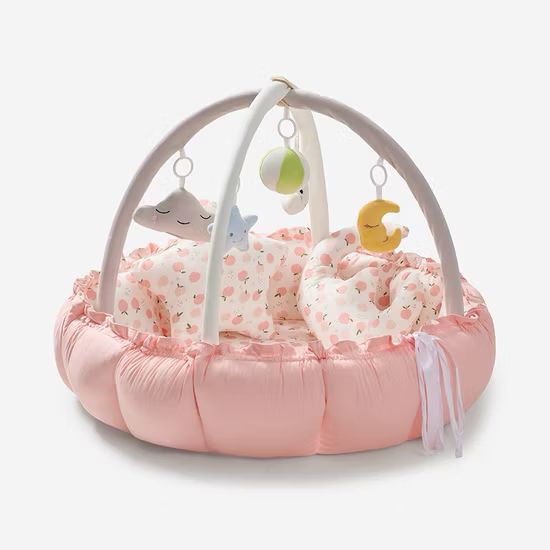 5-in-1 baby Play Gym