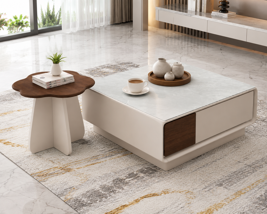 Modern Coffee Table Set