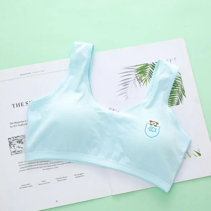 Girl Input Bra