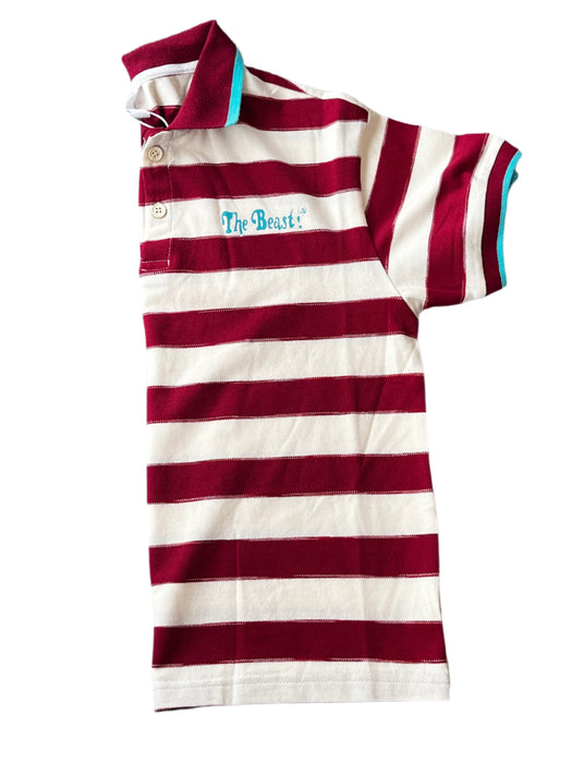 The Beast Stripped Shirts