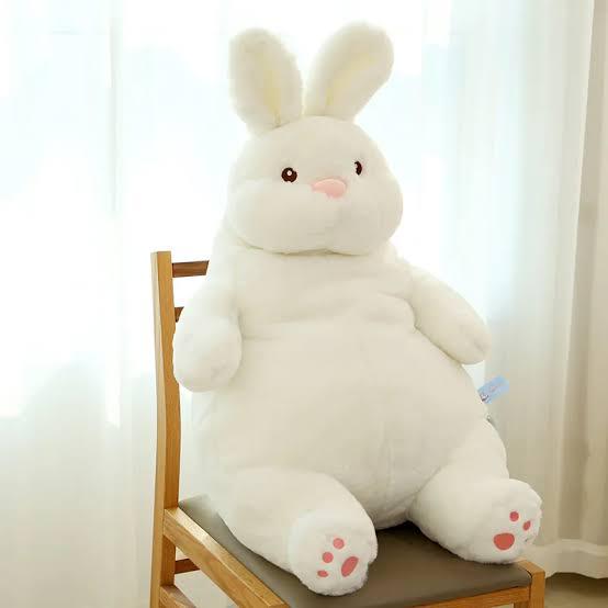 Fat Rabbit Plush Toy