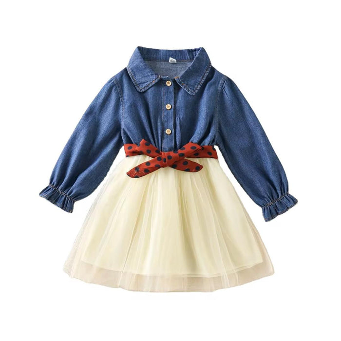 Denim Long Sleeve Dress