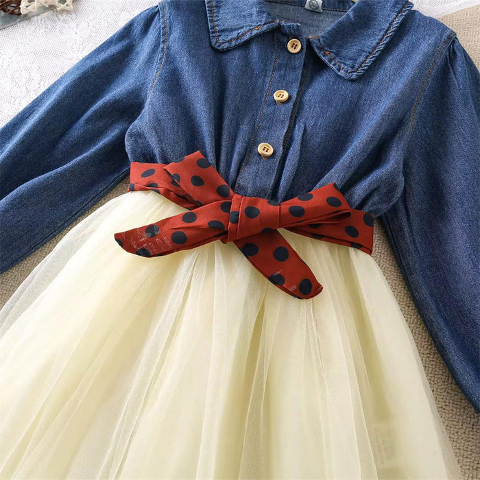 Denim Long Sleeve Dress