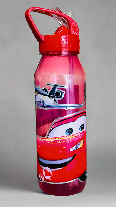 Character Water Bottle