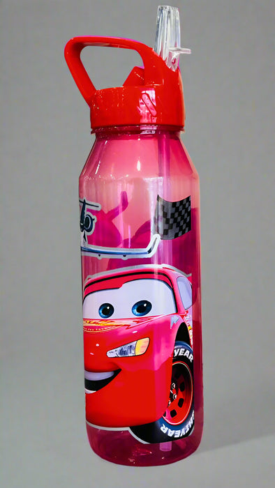 Character Water Bottle